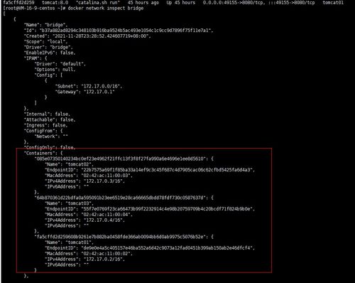 docker网络详解与实战